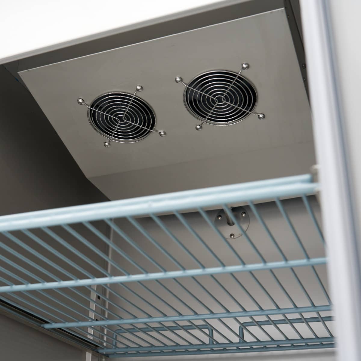 Freezer - 600L - 3 Adjustable Shelves (2/1 GN) - Stainless Steel - on Wheels — 12