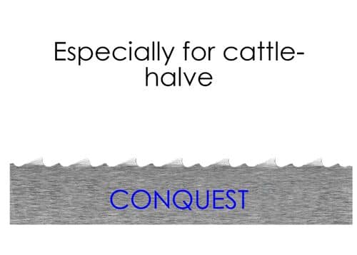 (5 buc) Pânză pentru fierăstrău cu bandă Conquest - 2,4 m - pas dinților 10 mm — 3
