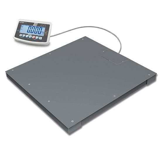 Floor scale, weighing range maximum 600 kg, readout 200 g